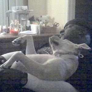 Meet your Posher, Darryll